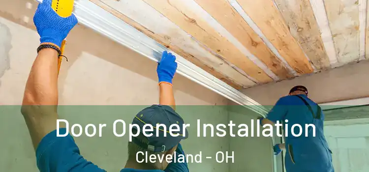  Door Opener Installation Cleveland - OH