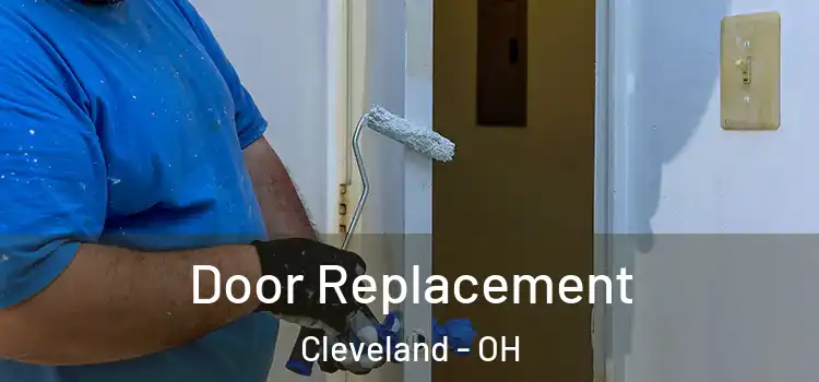  Door Replacement Cleveland - OH