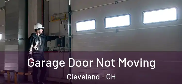  Garage Door Not Moving Cleveland - OH