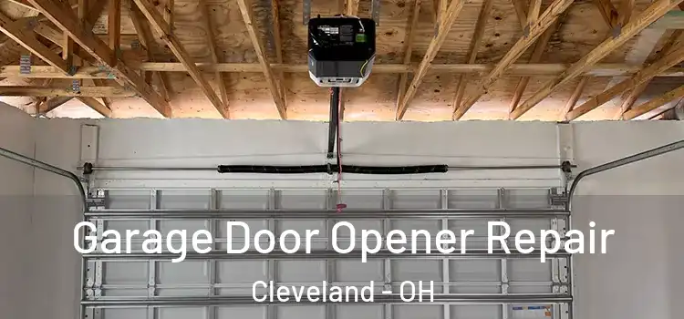  Garage Door Opener Repair Cleveland - OH