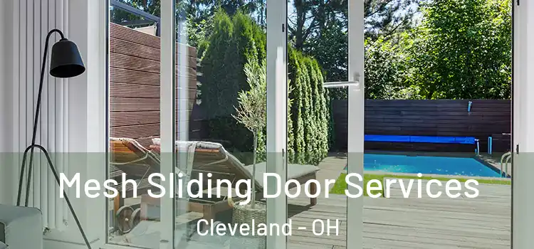  Mesh Sliding Door Services Cleveland - OH